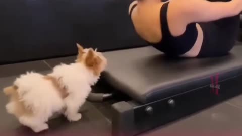 Cutest gym partner