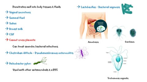 Metronidazole(Flagyl) - Mechanism Of Action, Indications, Adverse Effects & Contraindications