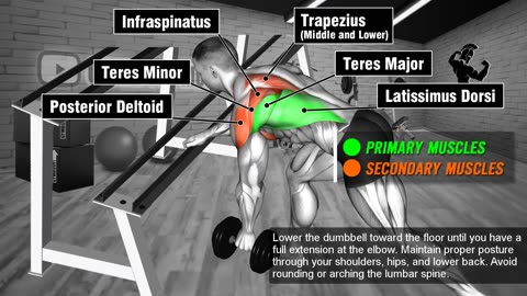 How To Get Wider Lower Lats