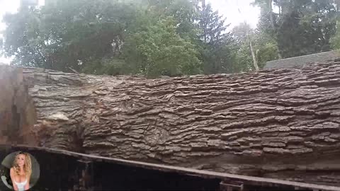 120yr old oak tree Table making