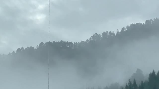 Rescue Helicopter over Forest