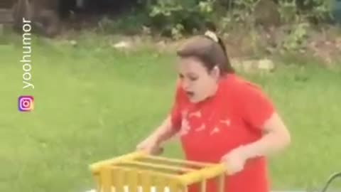 Funny Videos