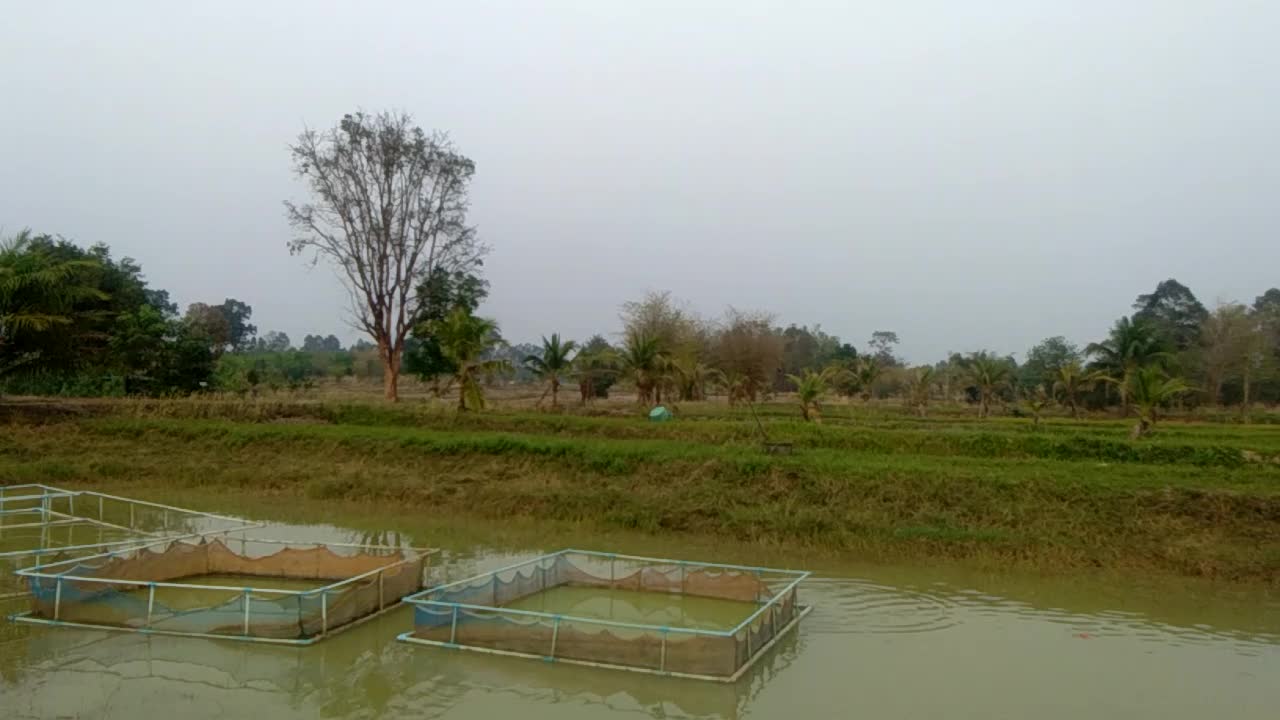 Rural Thailand