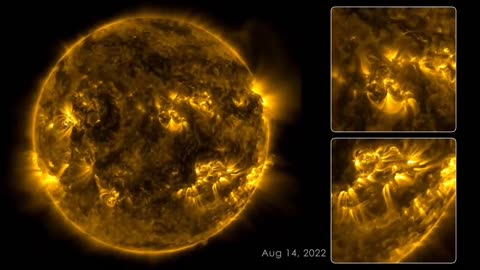 1 Week on The Sun