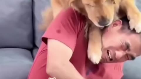 Best Funny Video 2023