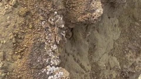 Beautiy of Balochistan