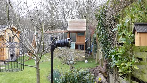 Bird petting the camera