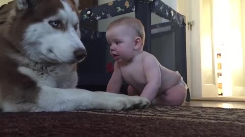 Baby and dog show love for one another