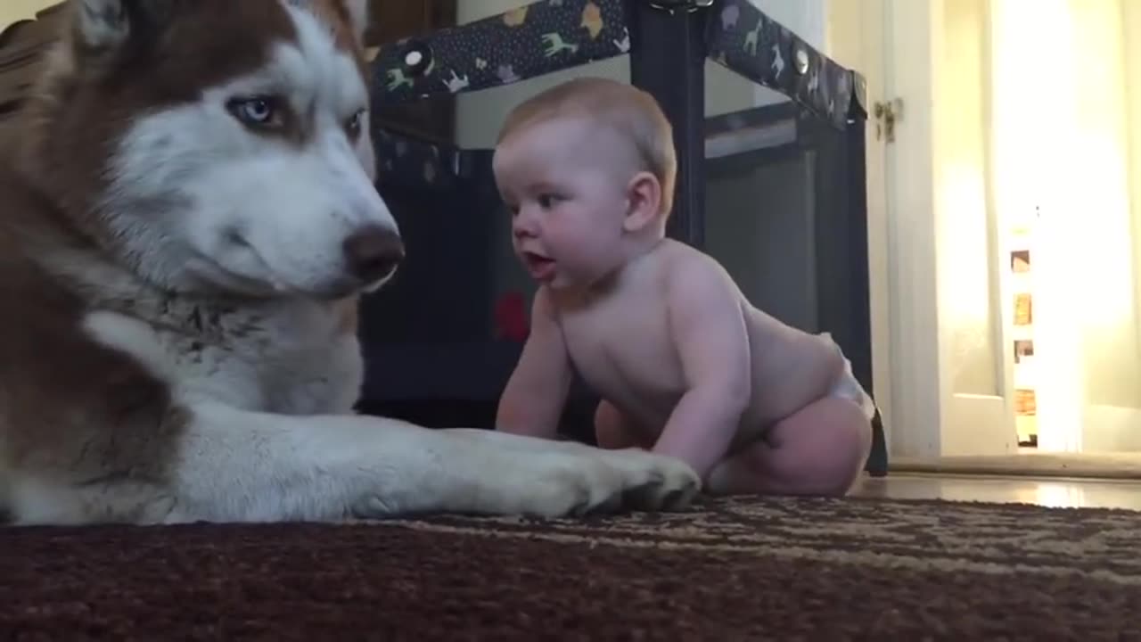 Baby and dog show love for one another