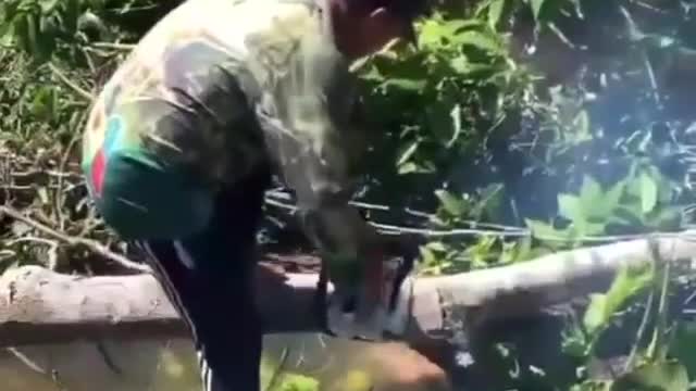 Man hilarious fell into the water while cutting the tree🤣😹😍