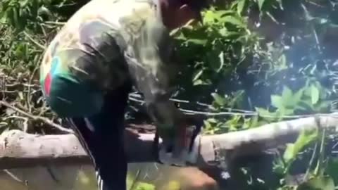 Man hilarious fell into the water while cutting the tree🤣😹😍