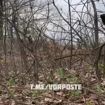 Ukraine War - Attempts to destroy tank