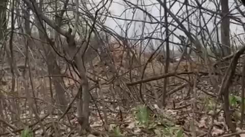 Ukraine War - Attempts to destroy tank