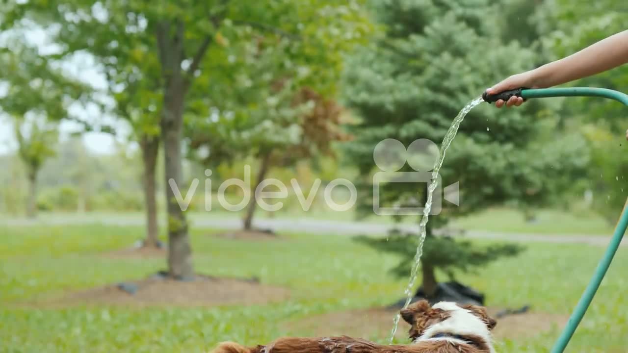 Cute vedio