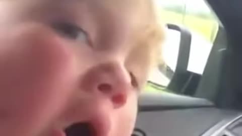 There's a Monkey on the Car!