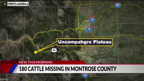 WOAH: 180 Cows Are Now Missing In Colorado