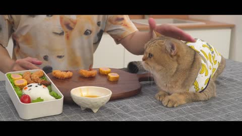 Japanese Lunch Box Fried Shrimp [Bento 2]