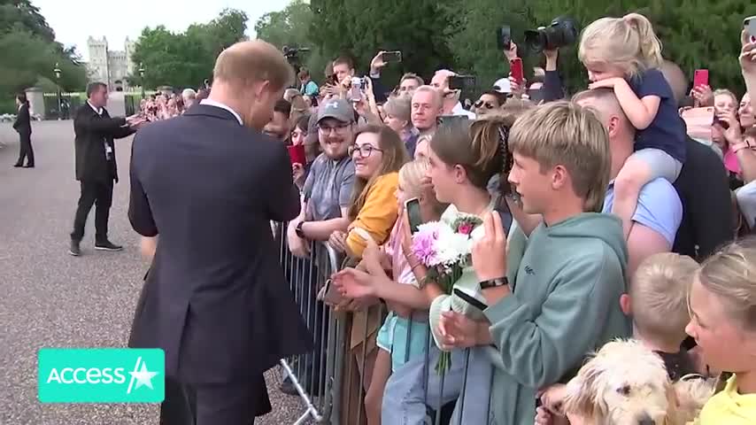 Prince Harry Not Allowed To Wear Military Uniform For Queen Elizabeth's Funeral (Reports)