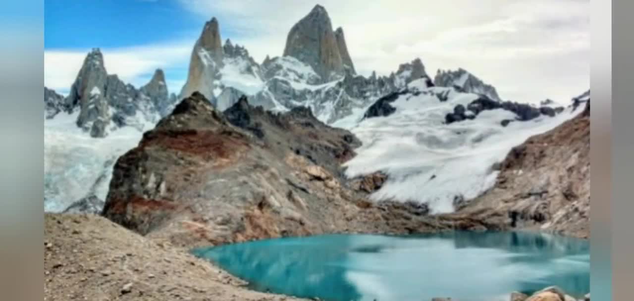 Animales autóctonos de Argentina