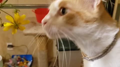 GIVE ME THAT!