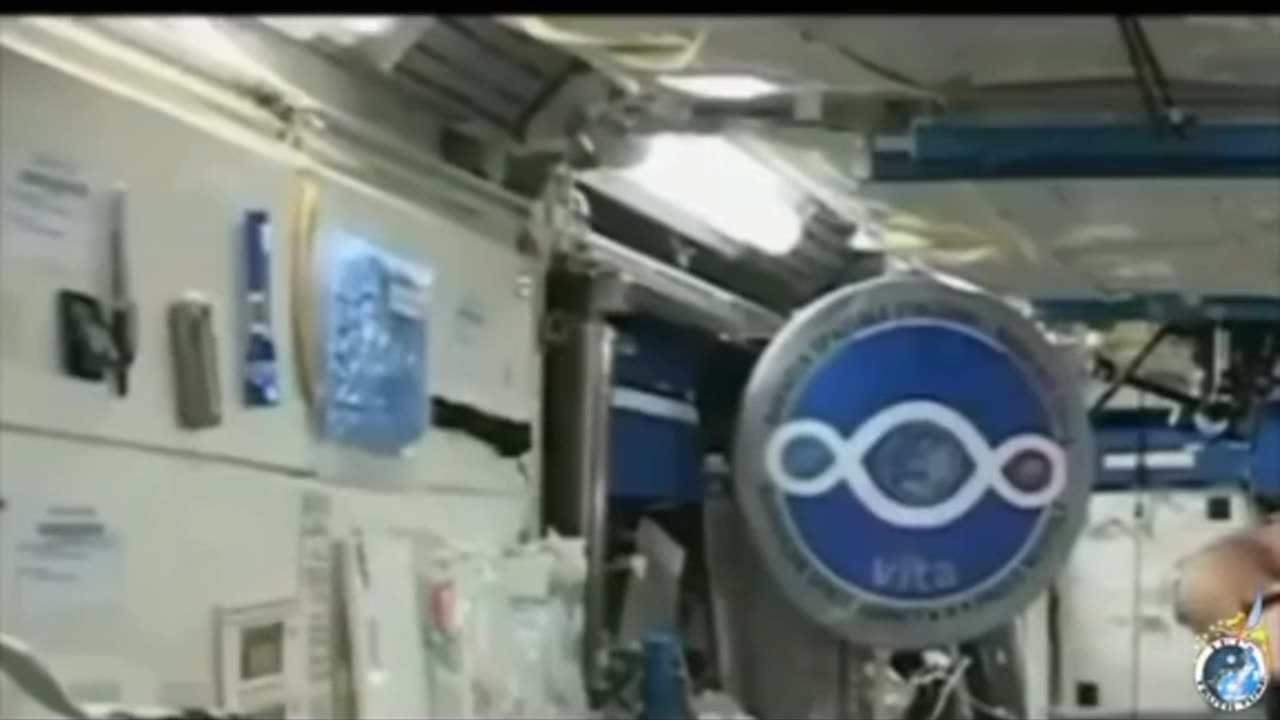 Space bugs!
