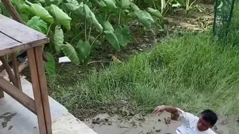 Ultimate funny video