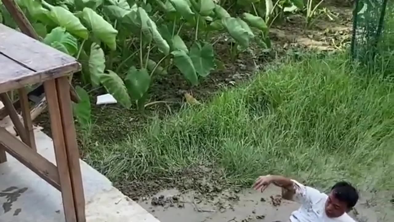 Ultimate funny video