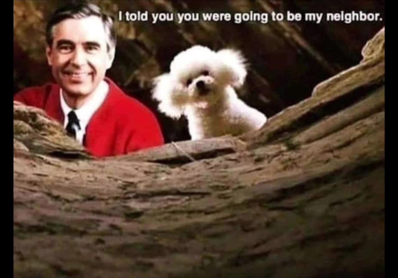 Random memes 2