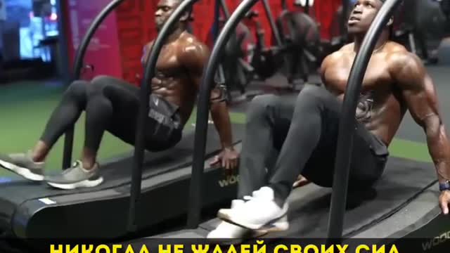 Мотиватор