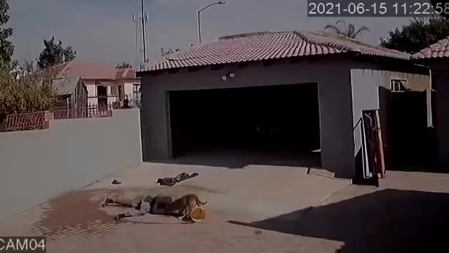 Robbery that went wrong