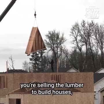 Bill Gates cuts down millions of trees to "save the earth"