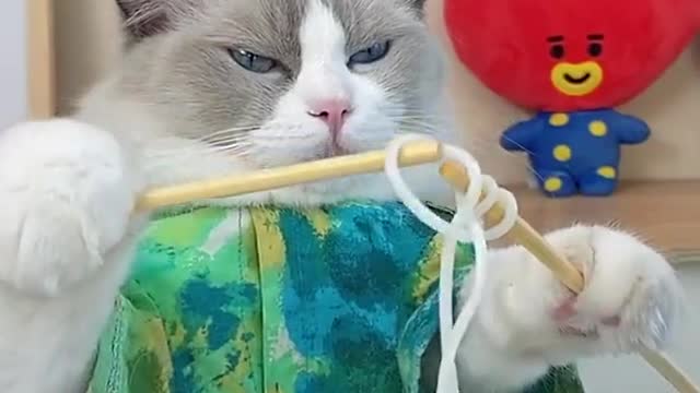 Any of you knows what Puff is doing