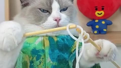 Any of you knows what Puff is doing