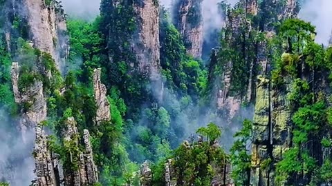 Natural views