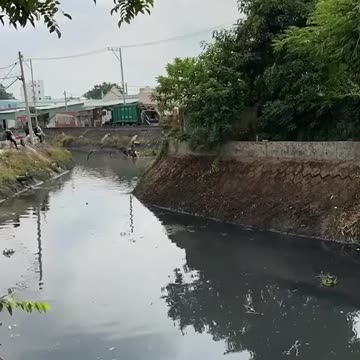 Cleaning up trash is the most satisfying
