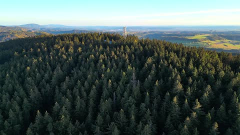 The hills DJI Mini 3 pro cinematic