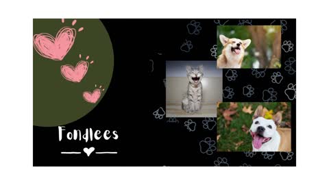 Funny Cute animals Videos Compilation cute moment of the animals - Cutest Animals #02