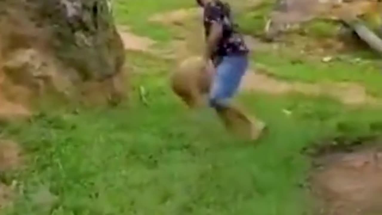 Funny_Animal you won't believe your eyes