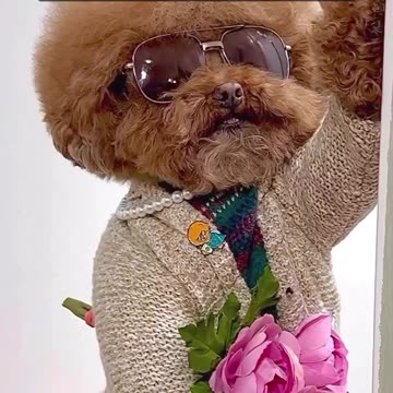 hey just checkin if your up your my valentine everyday#belated