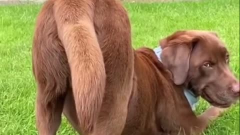 Kim Kardashian who 🤷‍♀️😍.