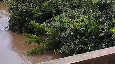 Muita água no rio caras do Mari depois de forte chuva