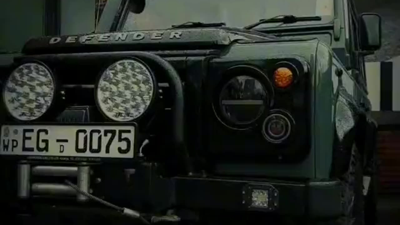 One of most beautiful eyes..... They got|DEFENDER