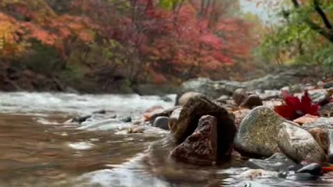 Is it your ideal view of the creek?
