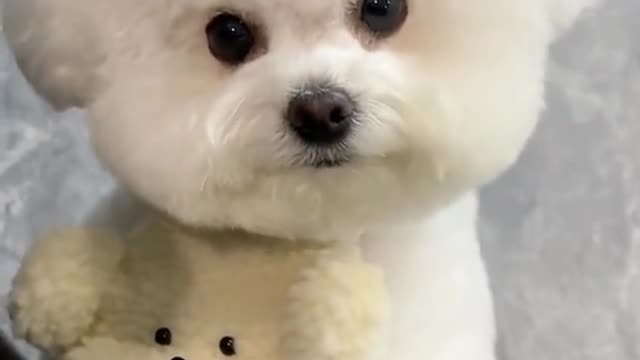She seems to know she is really cute