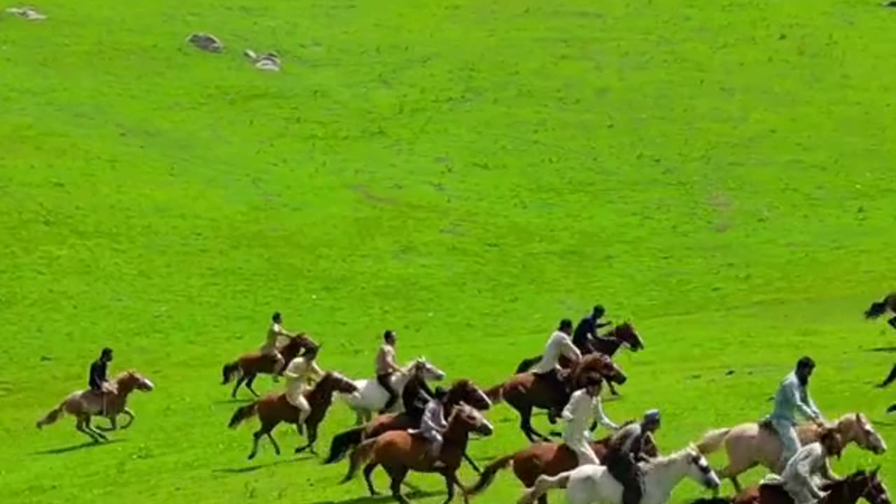 Morro meadows palas valley kohistan