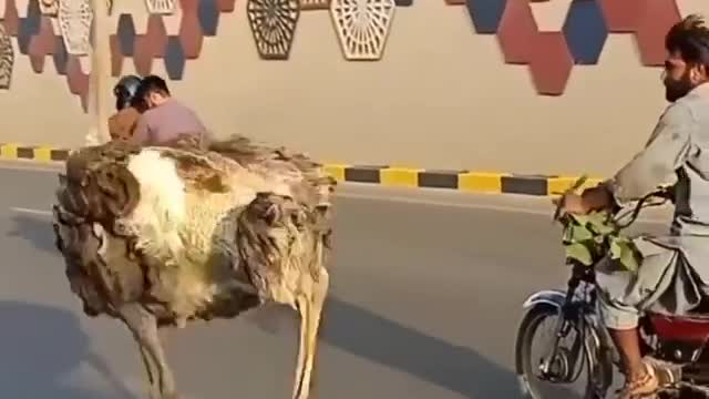 Free on street
