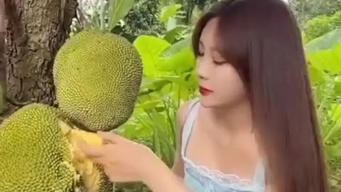 Sweet jackfruit