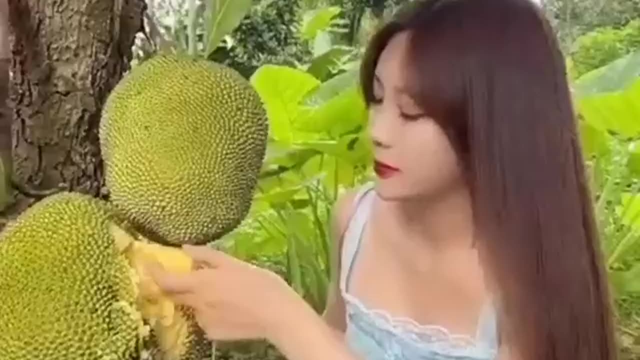 Sweet jackfruit