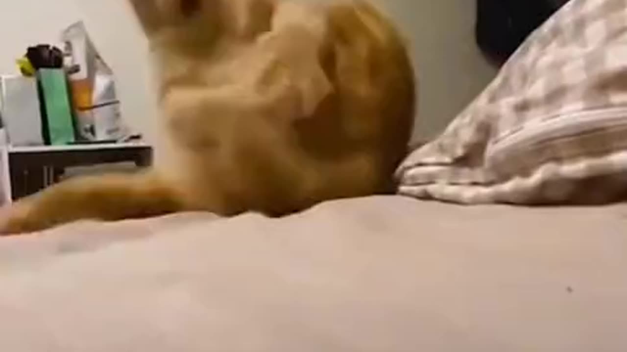 staying in control of life like