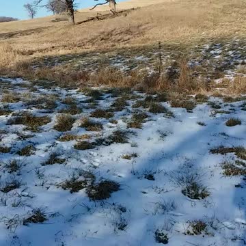 Psalm 32 Message Bible (get a fresh start)